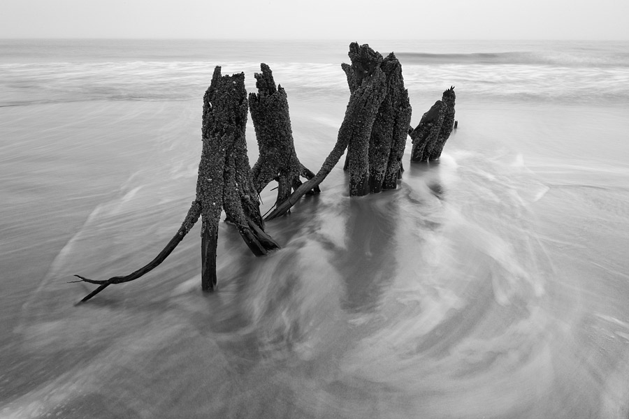Tree Stumps on Beach, Nikkor 16-35mm VR @ 20mm, ISO 100, 2 secs. @ f/22, Nikon D700