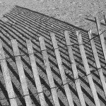 Fence on Beach Black and White