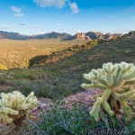 Superstition Wilderness Cacti and Landscape